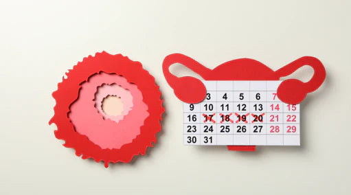 Comprendre et calculer le cycle menstruel avec La Week'Up